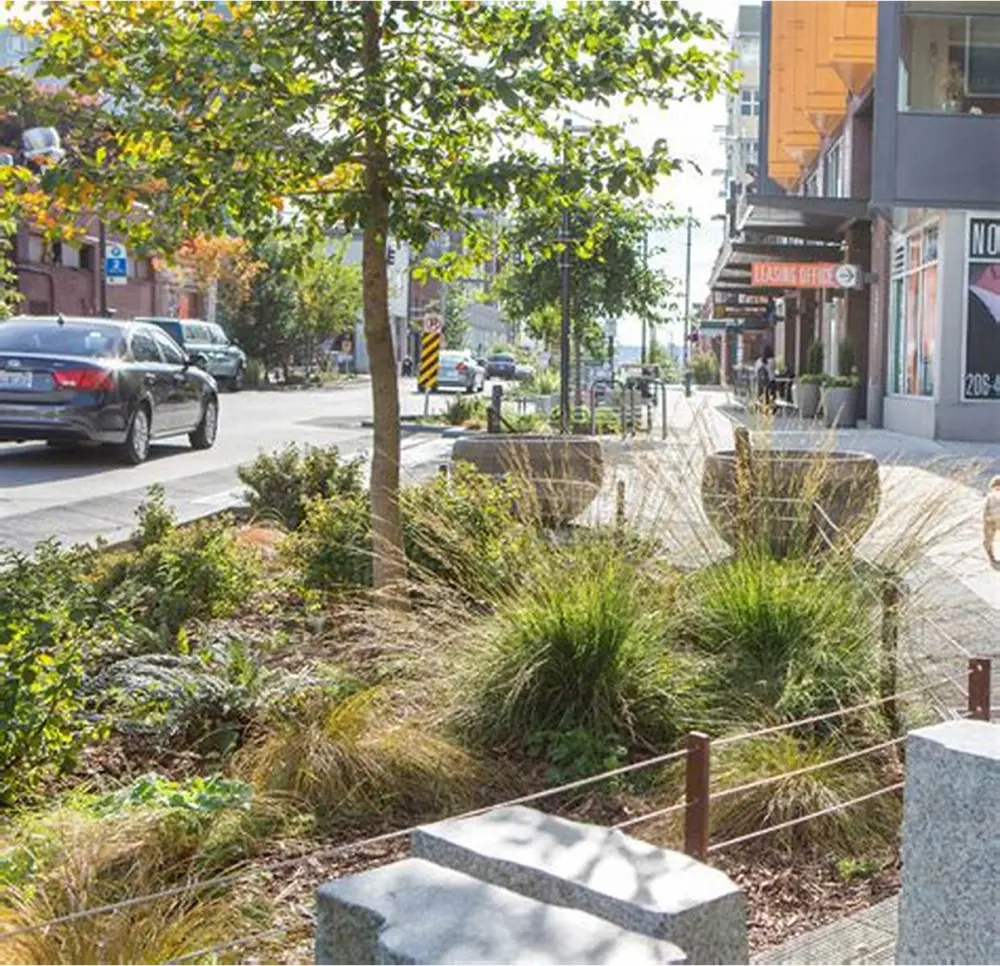 Trees and shrubs on a sidewalk